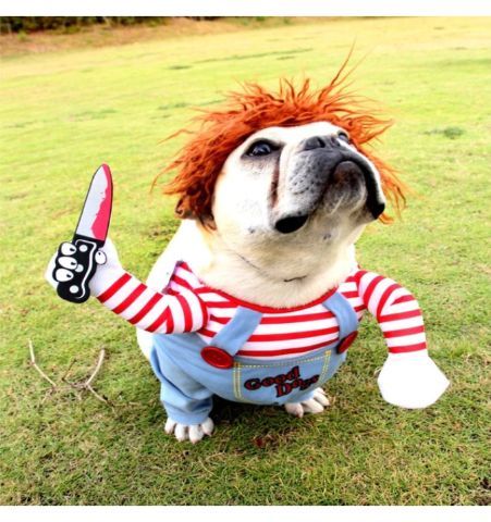 Disfraz Perro Chucky