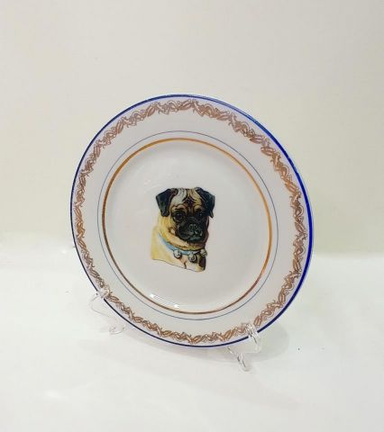 Plato Pug Perrito