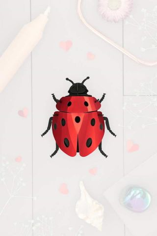 Puzzle 3D Insectos Ladybug