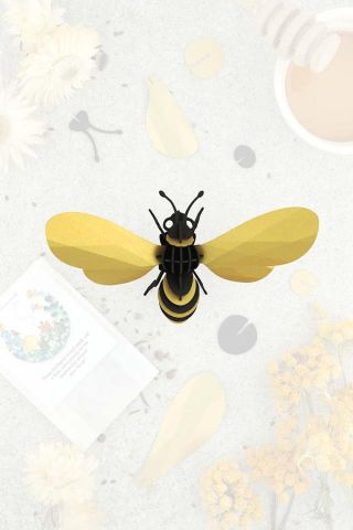 Puzzle 3D Insectos abeja miel