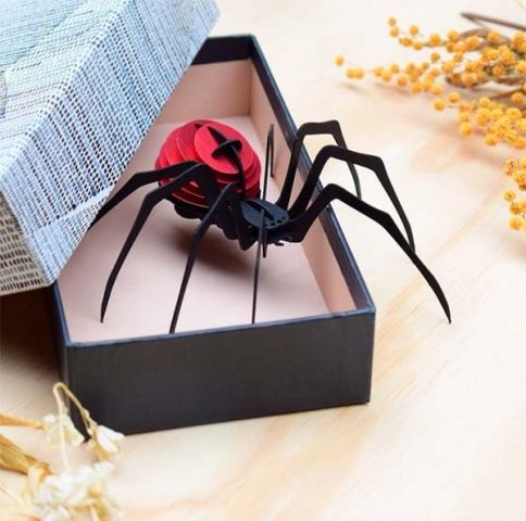 Puzzle 3D Insectos Spider 