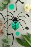 Puzzle 3D Insectos Spider 