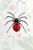 Puzzle 3D Insectos Spider 