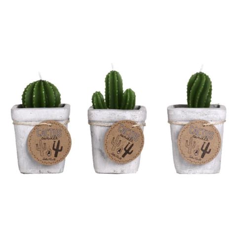 VELAS CACTUS CEMENTO HF