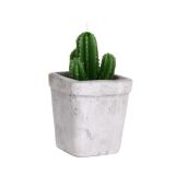 VELAS CACTUS CEMENTO HF