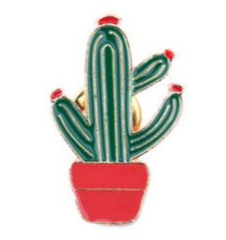 Pin Cactus Maceta Roja